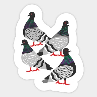 Pigeon Power Sticker